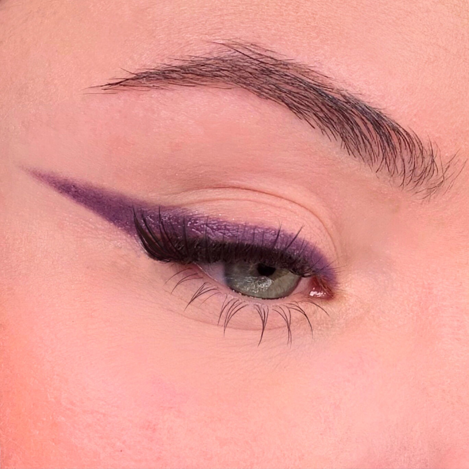308 Prune - Fard à paupières naturel & vegan