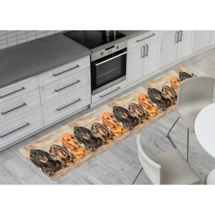 Tappeto Passatoia Corsia Cucina Ingresso Antimacchia Disegno Bassotti 2762