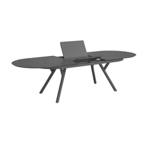 Table de jardin ovale extensible aluminium 10 places METORA