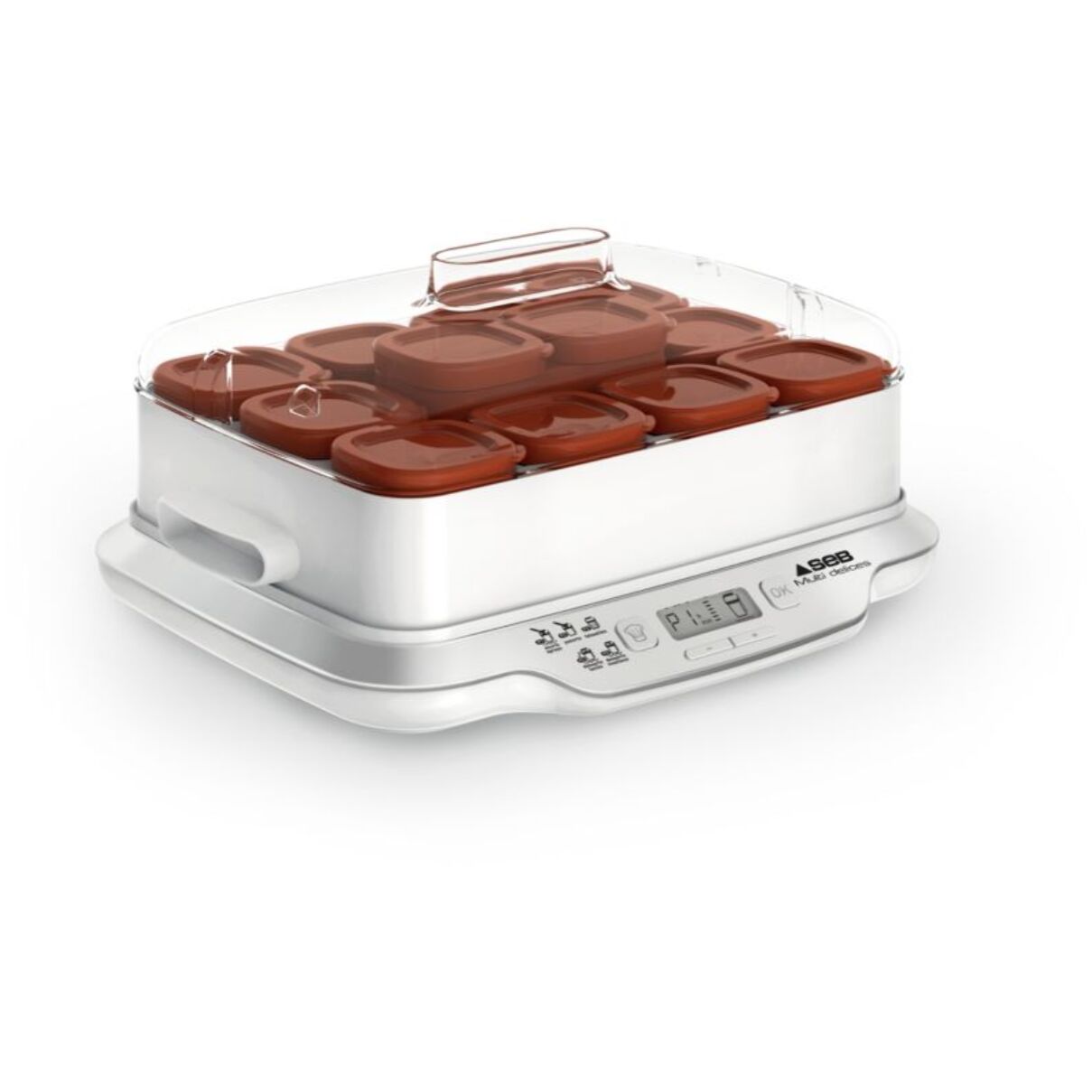 Yaourtière et fromagère SEB YG661A00 Multidélices Express 12 pots