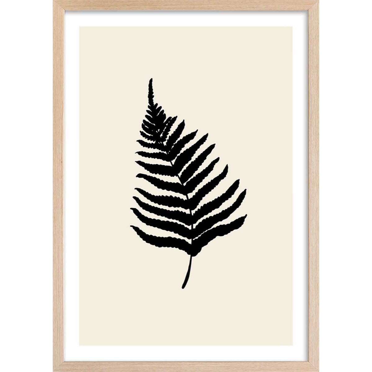 Affiche deco black fougères Affiche sous cadre bois