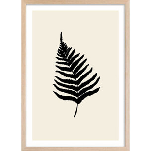 Affiche deco black fougères Affiche sous cadre bois