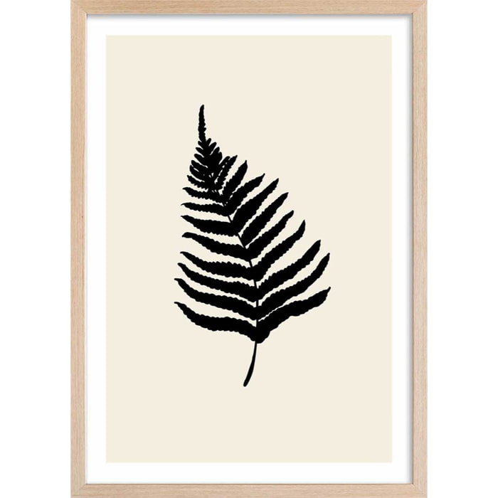 Affiche deco black fougères Affiche sous cadre bois