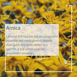 WELEDA -  Roller à l'Arnica 75ml