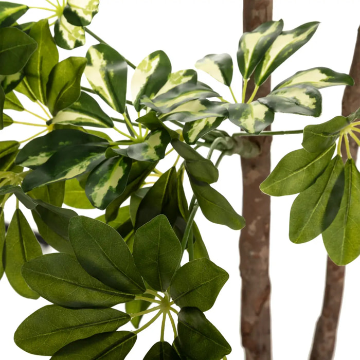 Schefflera artificiel H130cm
