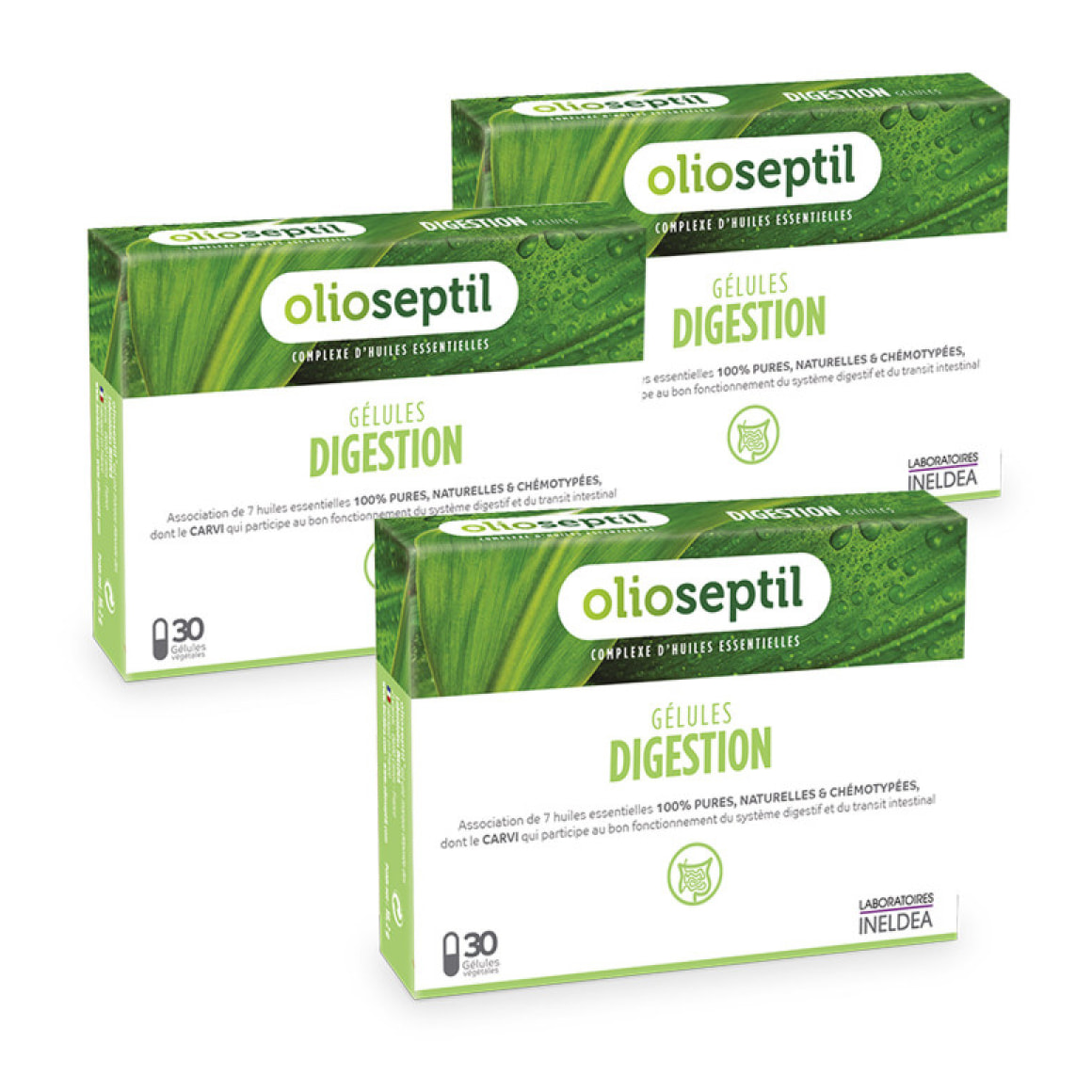 OLIOSEPTIL® - Digestion - Complexe d'Huiles Essentielles Pures et Chémotypées - Gélules Végétales L-Vcaps® - Dès 15 Ans - Confort du système digestif et du transit intestinal - Cure de 30 j - Lot de 3