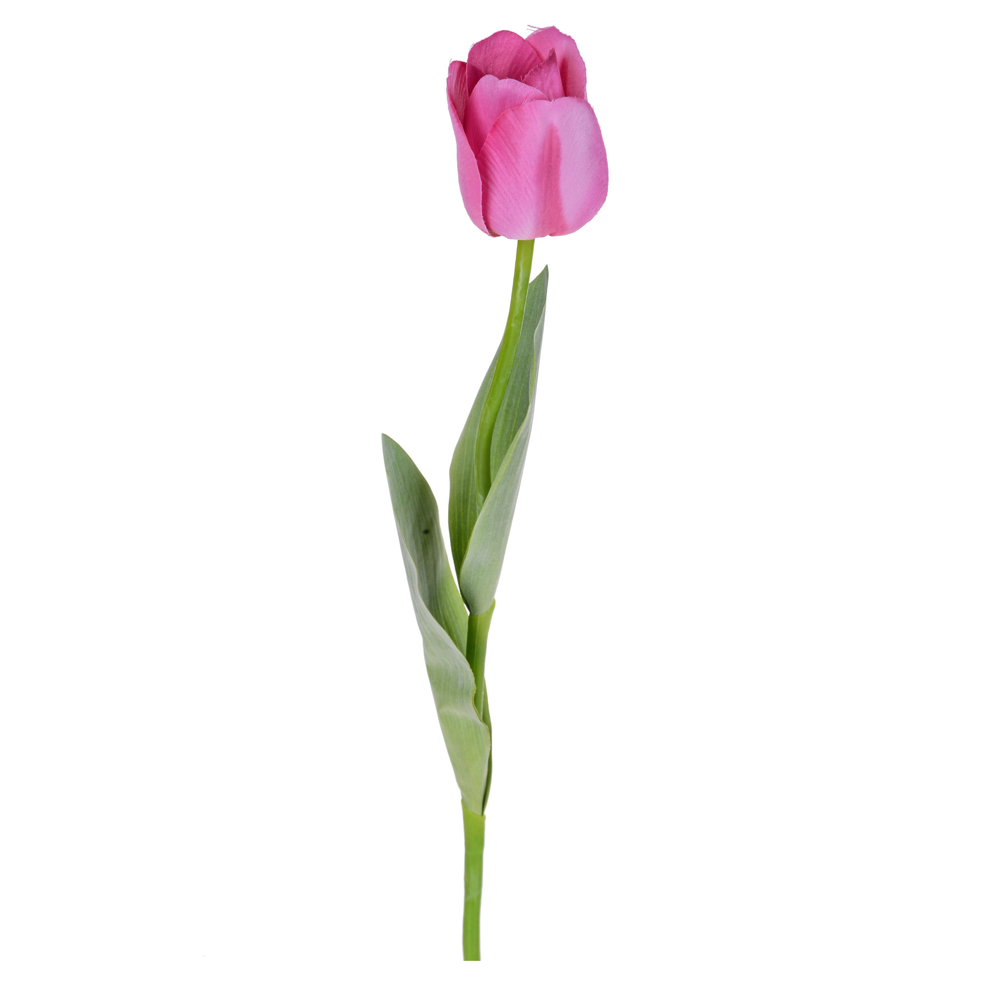 Tulipano Con Foglie. Altezza 67 Cm - Pezzi 12 - 9X67X5cm - Colore: Rosa - Bianchi Dino - Fiori Artificiali