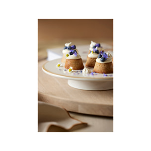 Présentoir gâteaux Gastro