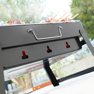 Barbacoa Plegable Portátil para Carbón BearBQ InnovaGoods