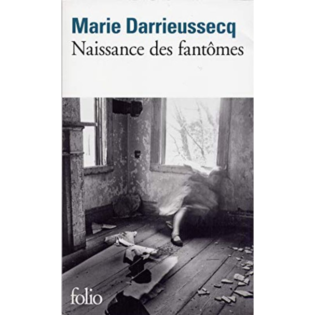 Darrieussecq, Marie | Naissance des fantômes | Livre d'occasion