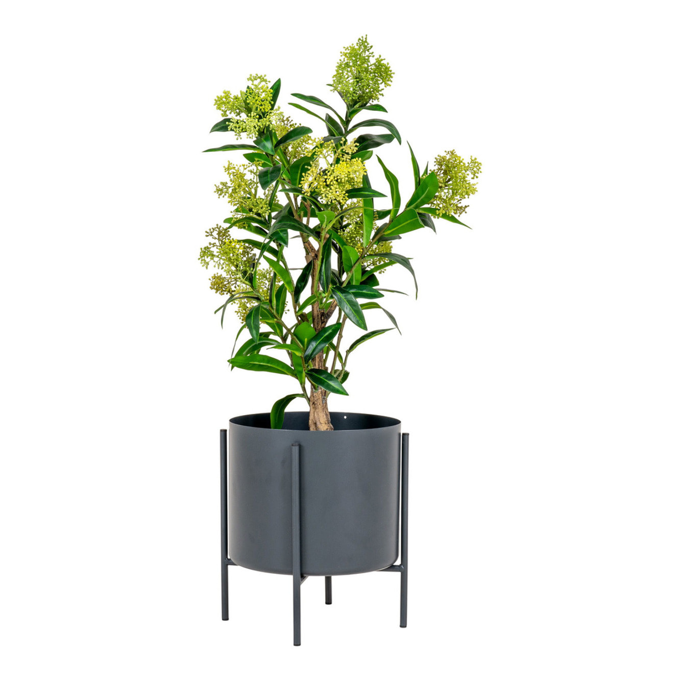 Skimmia artificiale in vaso Vikasa Home — H 75 cm