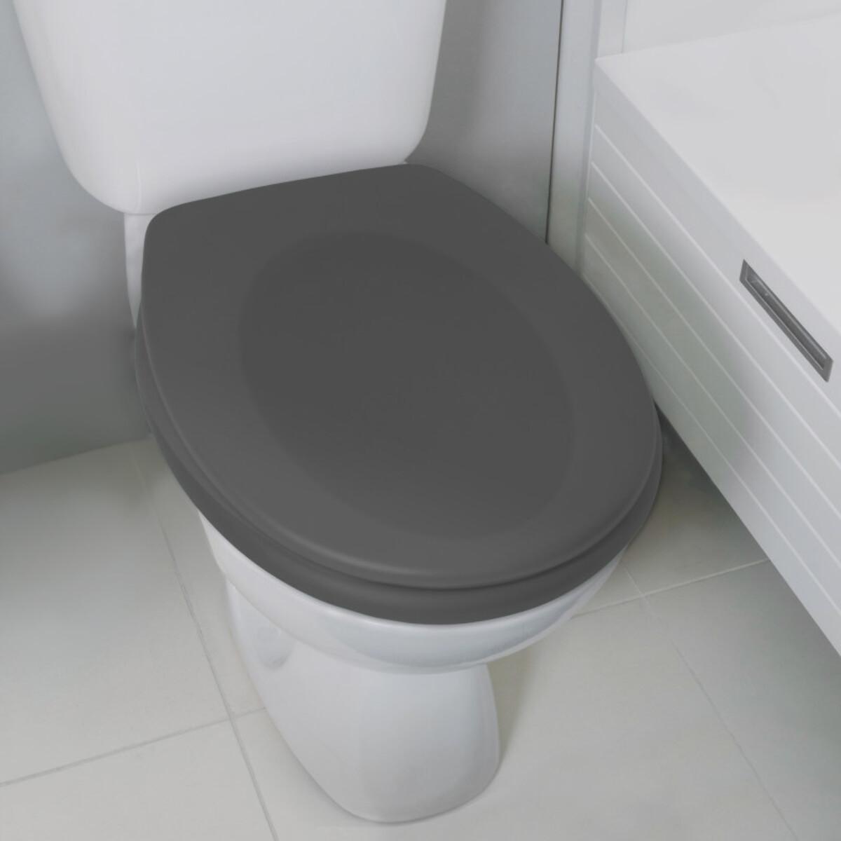 Abattant wc Thermo dur avec frein de chute NEELA Gris mat - Charnières ABS Chromé Spirella