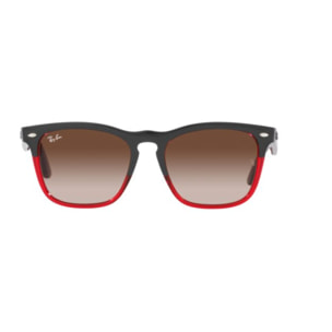 Gafas de sol Ray Ban Unisex RB4487-663113-54