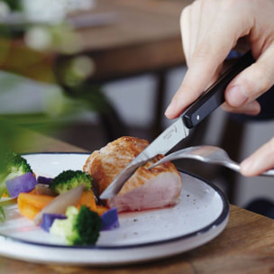 Coffret couteau OPINEL Bon Appétit Pro 125