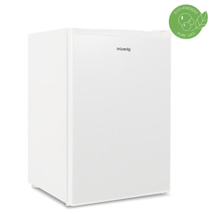 Mini Nevera Eléctrica FGX880 H.Koenig Capacidad 113L, Blanco, Congelador 17L 60W