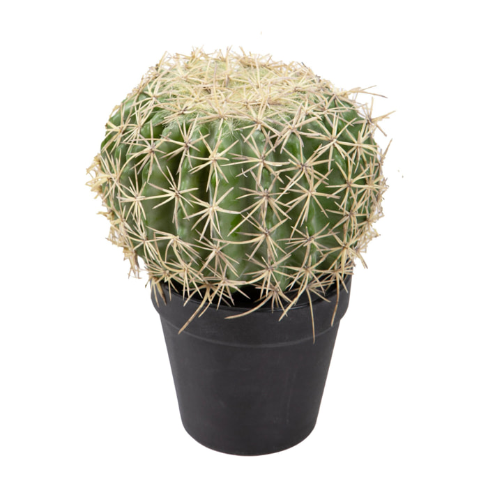 Echinocactus con vaso - Pezzi 1 - Colore: Verde - Bianchi Dino