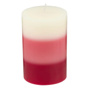 Bougie parfumée framboise 310g