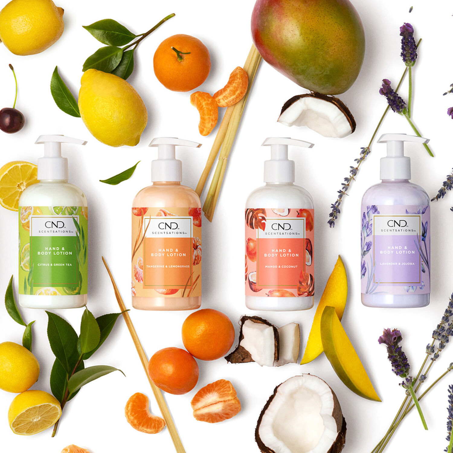 Scentsations™ - Lotion Hydratante pour les Mains et le Corps 245ml