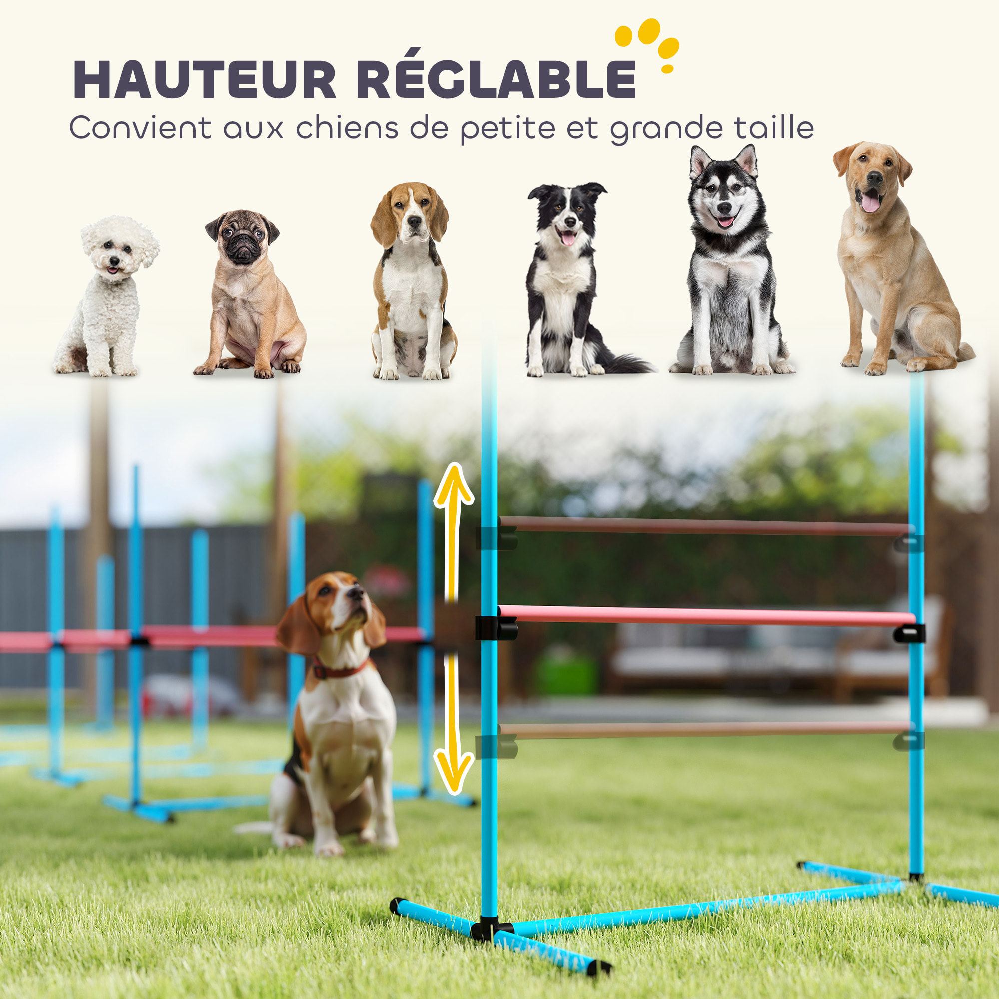 Agility sport pour chiens set de 4 obstacles professionnels avec système de maintien au sol sac transport fourni bleu rouge