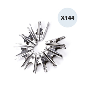 Lot de 144 pinces à linge en inox MSV