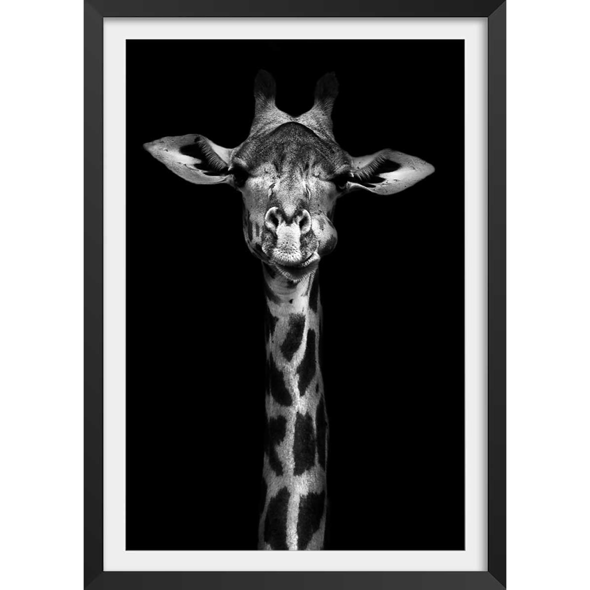Affiche girafe haute en portrait Affiche + cadre en bois - Noir
