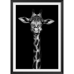 Affiche girafe haute en portrait Affiche + cadre en bois - Noir