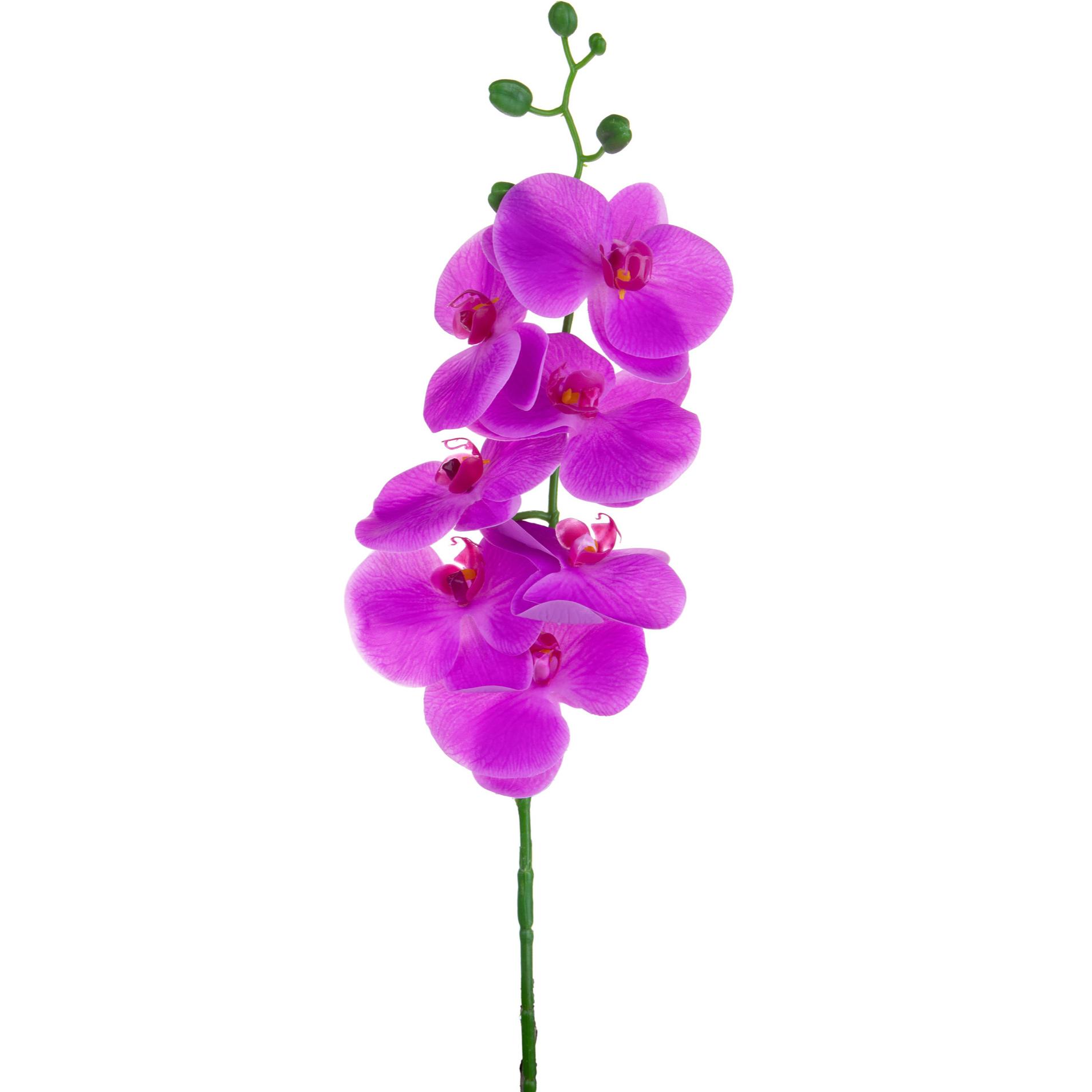 Phalaenopsis Con 7 Fiori. Altezza 96 Cm - Pezzi 6 - 14X96X8cm - Colore: Viola - Bianchi Dino - Fiori Artificiali