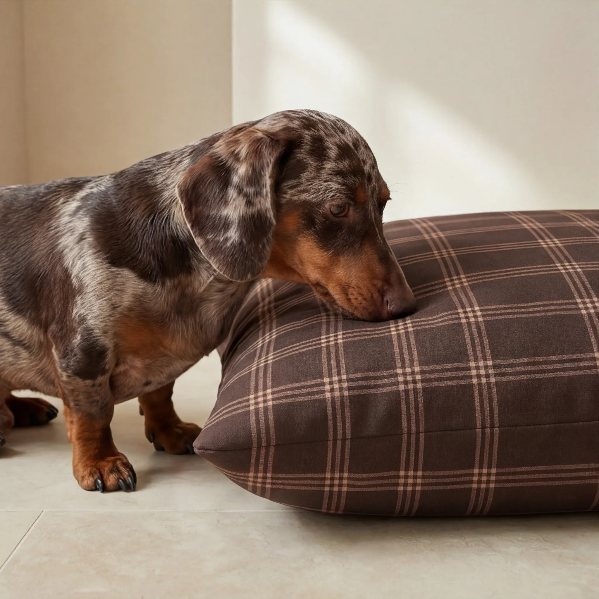 Lit pour animaux déhoussable et antitaches Gus