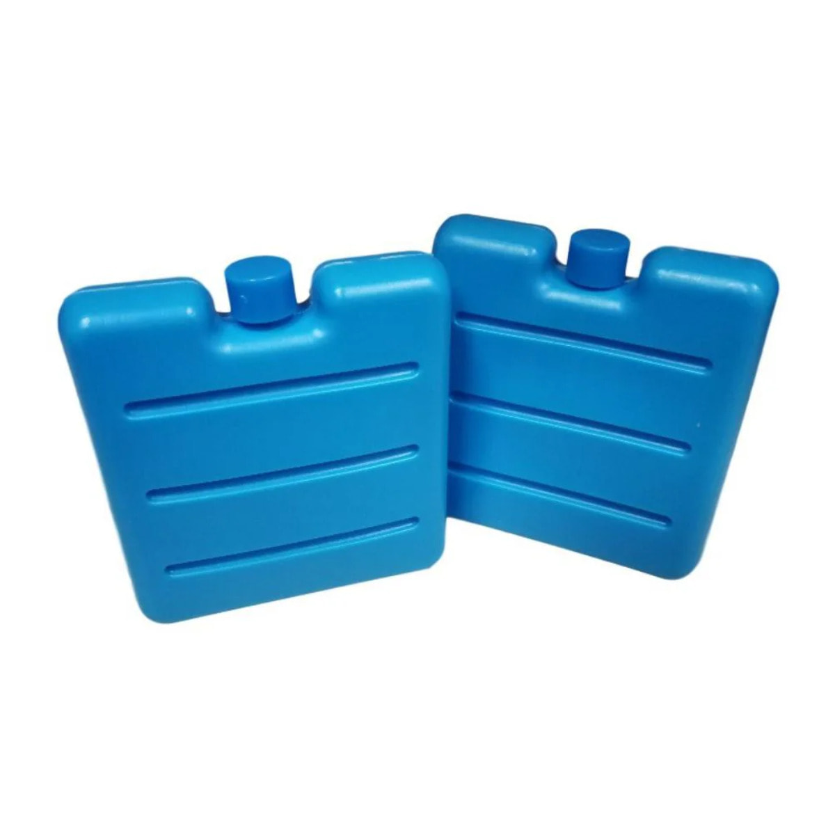 Lot de 2 pains de glace pour glacière et lunch bag Fackelmann