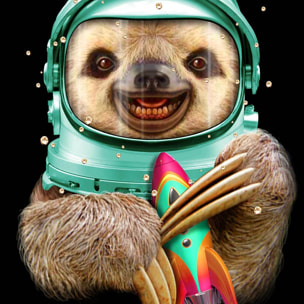 Affiche enfant spacesloth  Affiche sous cadre bois