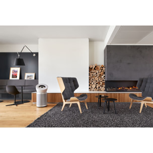 Purificateur Dyson Big+Quiet BP02