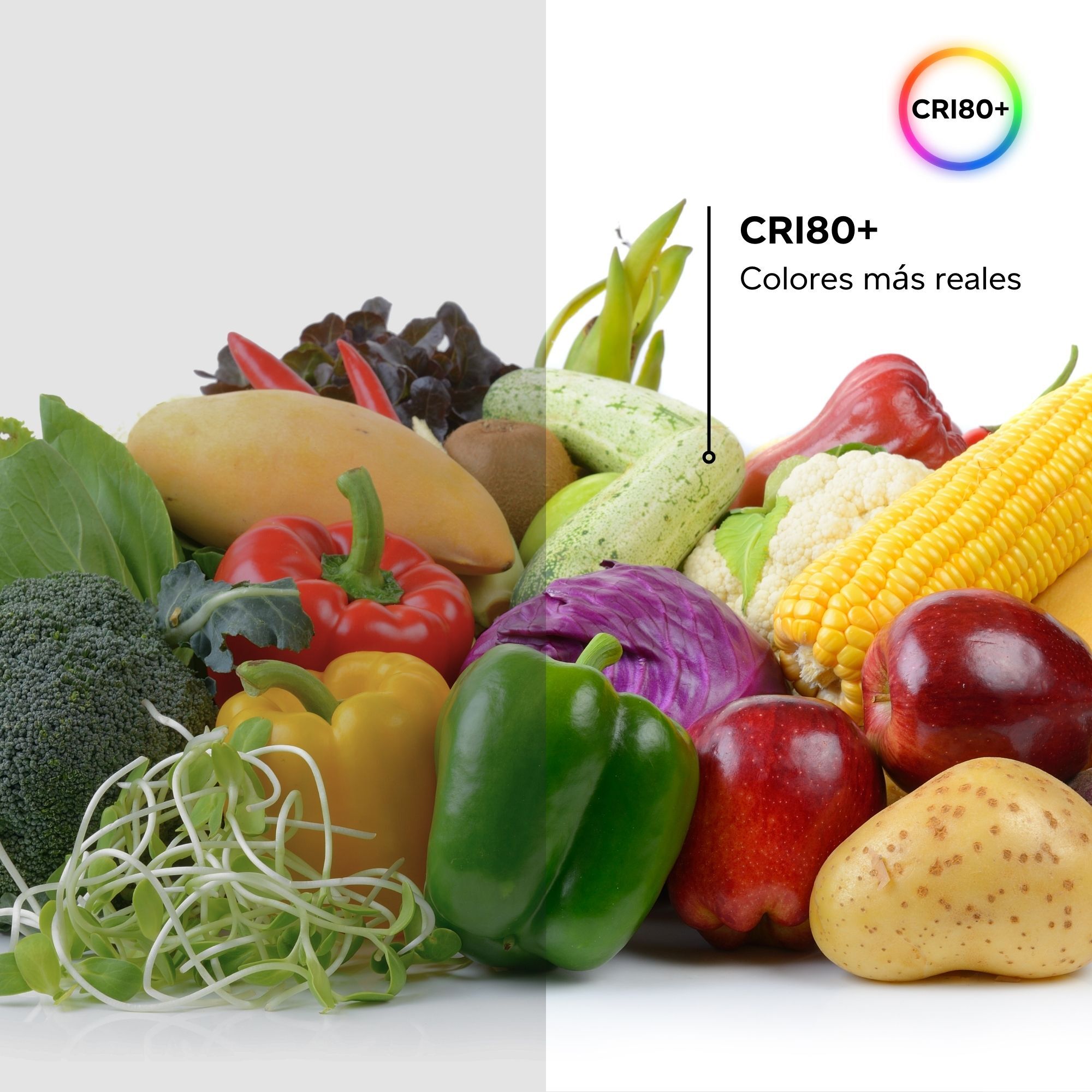 FORLIGHT Easy Circular - 10 Downlights con LED integrado 6000K para iluminar hacia abajo ON/OFF ø22,5cm Color Gris