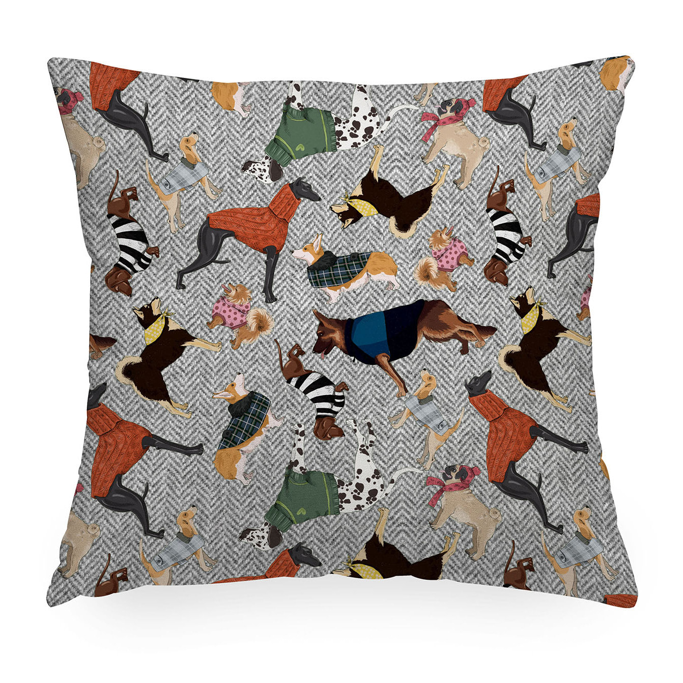 Cuscino arredo Greg Cani