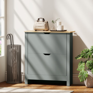 Armoire à chaussures 2 portes abattantes 2 compartiments gris clair naturel