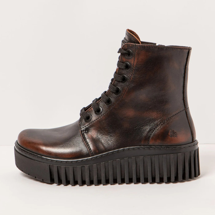 Botines 1517 ASPORT CASTAGNA/BRIGHTON color Castagna