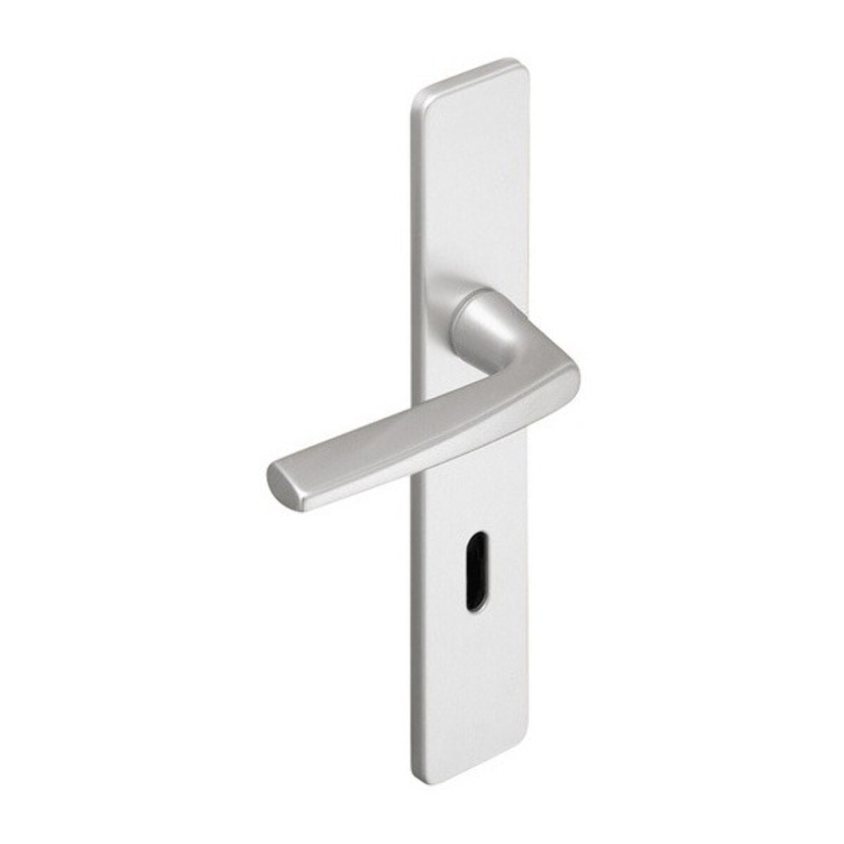 Ensemble de porte Riviera BEZAULT Entraxe 195 mm Argent - Clé L - 0072744