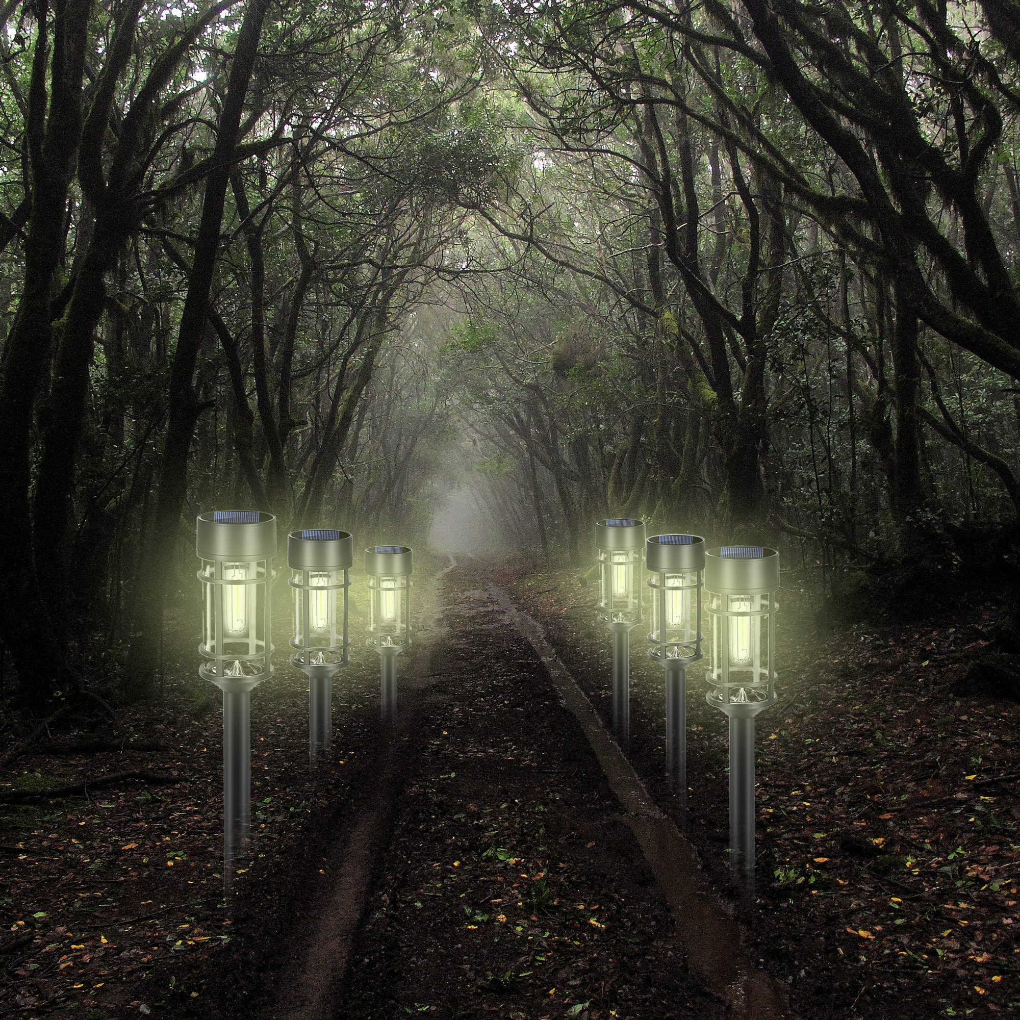 Well Home Luz Solar de Jardín con LED Blanco Cálido y Panel Policristalino Ø6x50cm