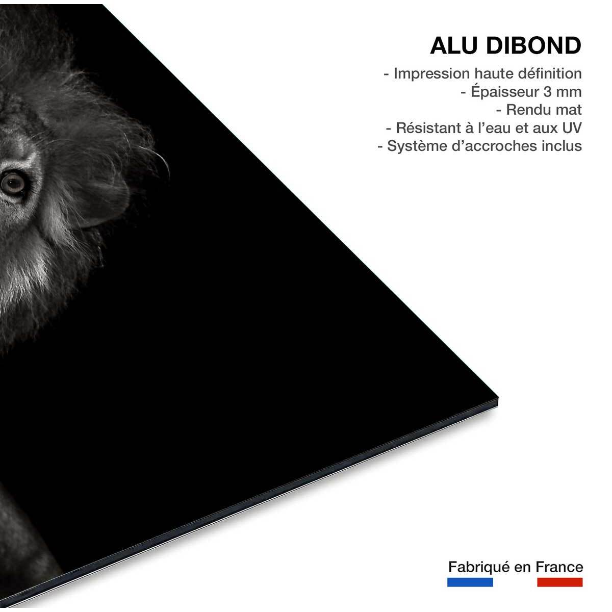 Tableau majestueux roi des animaux Tableau alu Dibond