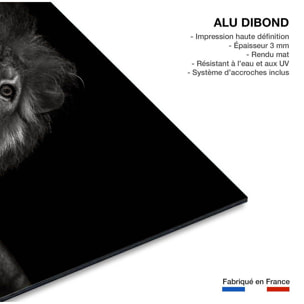 Tableau majestueux roi des animaux Tableau alu Dibond