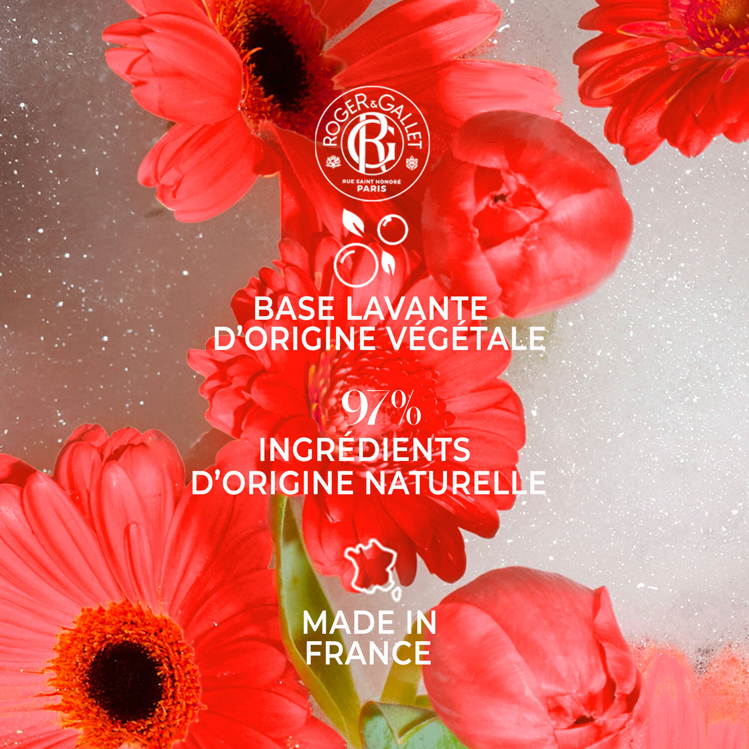 Fleur de Figuier - Coffret Savons Bienfaisants