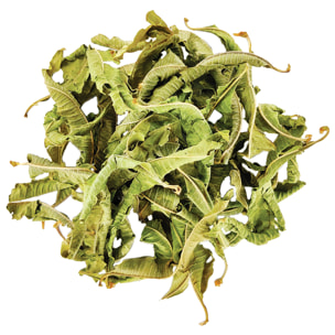 Verveine Gastronomique - Infusion Bio plante naturelle - Vrac 200g