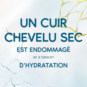 6 Crèmes de Soin DermaxPro Hydrate, Pour Cuir Chevelu Sec 145 ml, Head & Shoulders