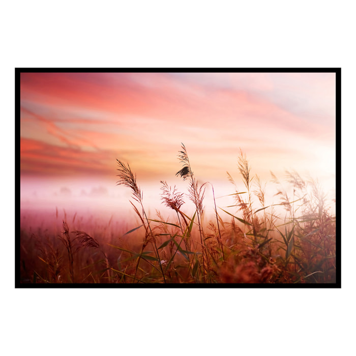 Affiche encadrée roseaux au coucher du soleil Affiche + cadre en métal - Noir