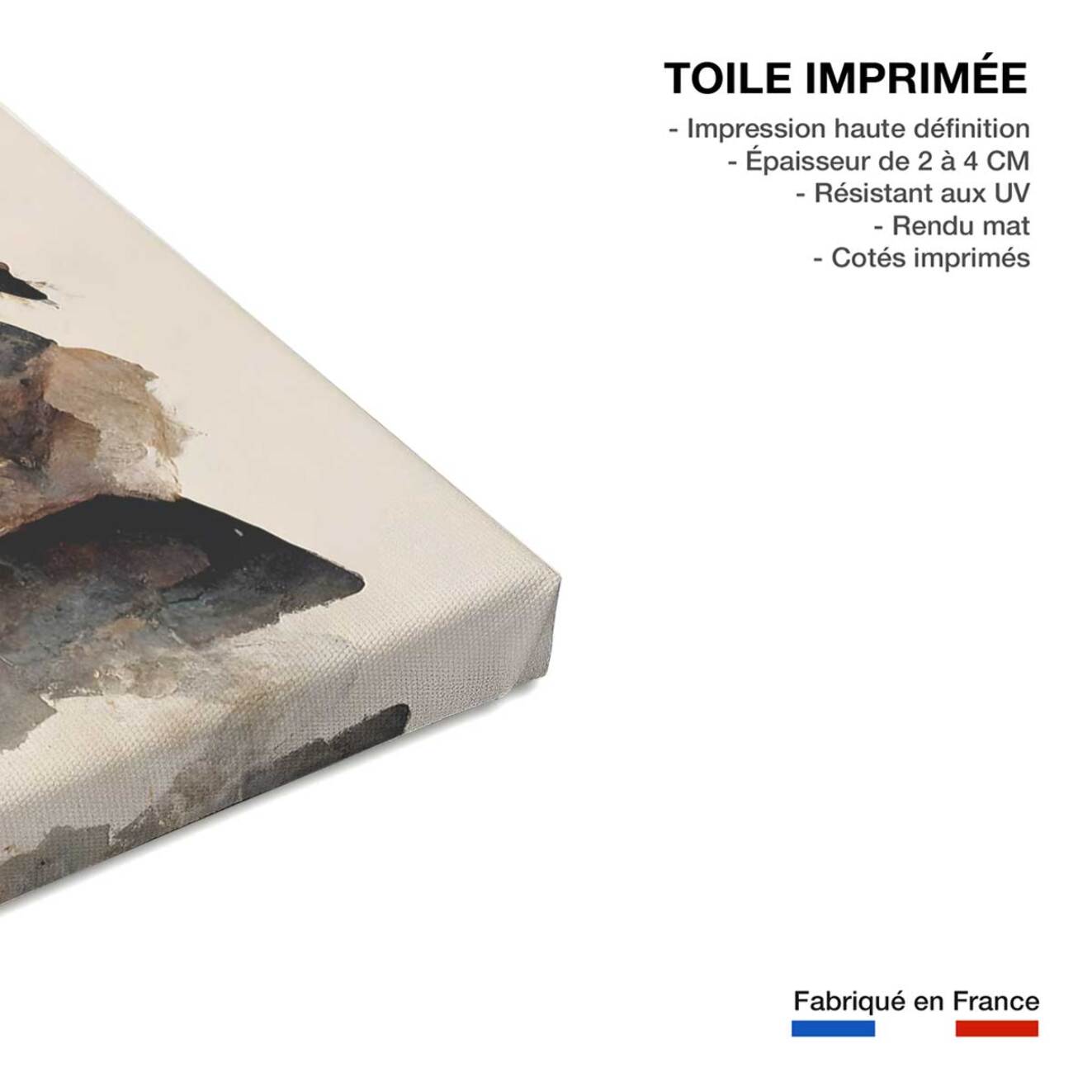 Tableau nature morte fleur corail  Toile imprimée