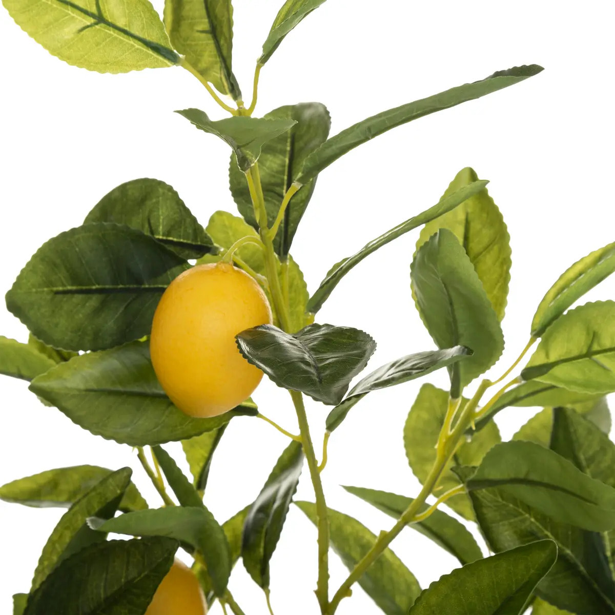 Citronnier artificiel H70cm