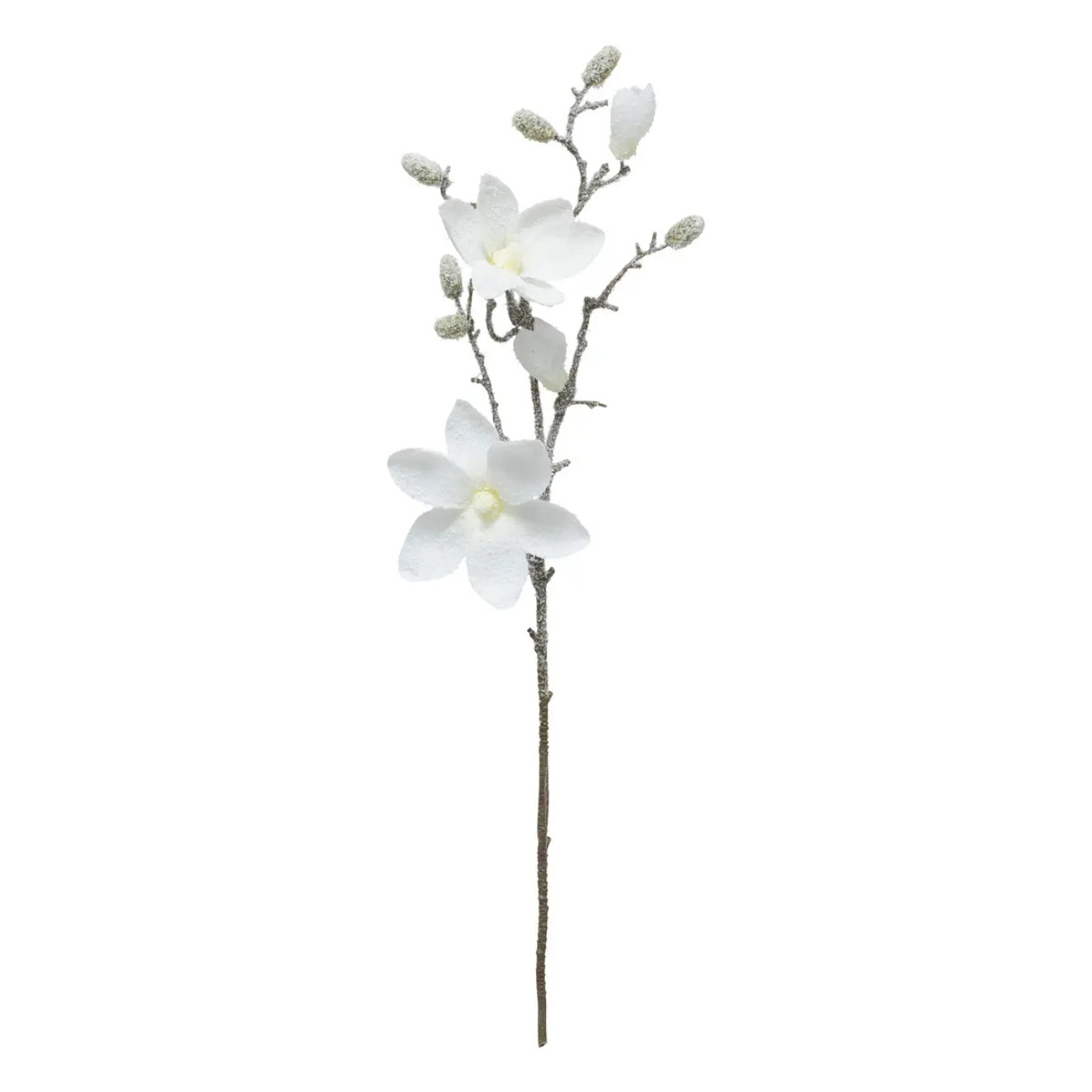 Branche Magnolia blanc H66cm