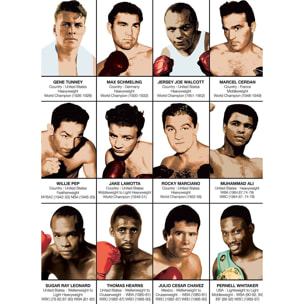 Affiche - Legendary Boxers Chronology - Olivier Bourdereau