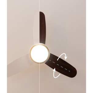 Ventilador de techo con luz EnergySilence Aero 4265 GoldWhite Cecotec