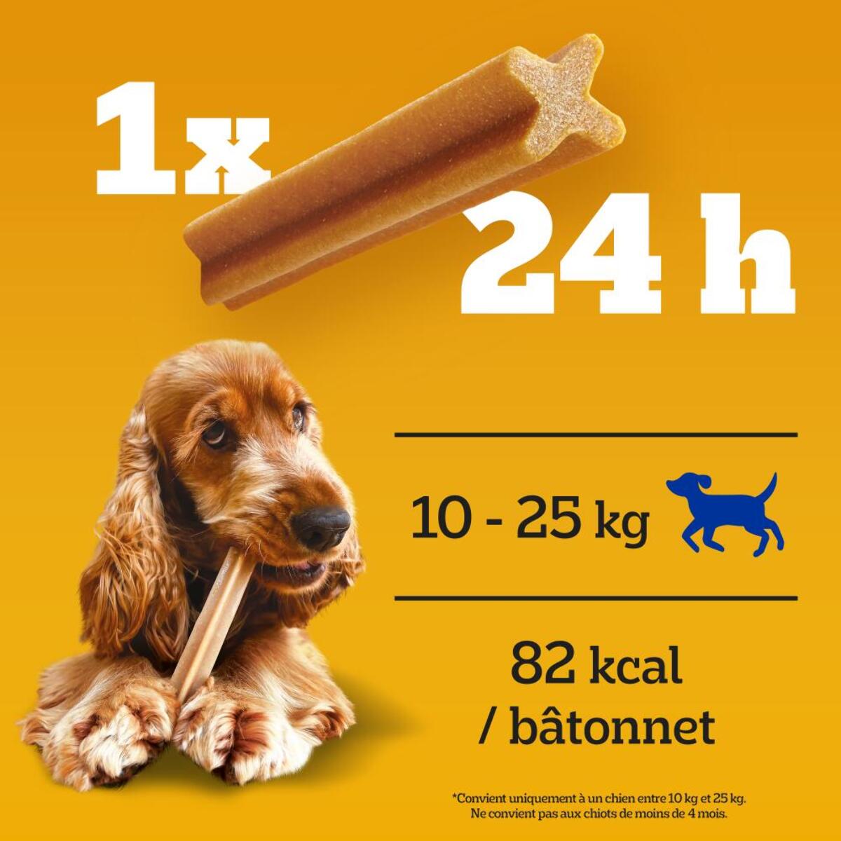 PEDIGREE Dentastix Friandises à mâcher moyen chien 35 sticks dentaires (5x7)