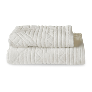 Coppia spugna Spartaco